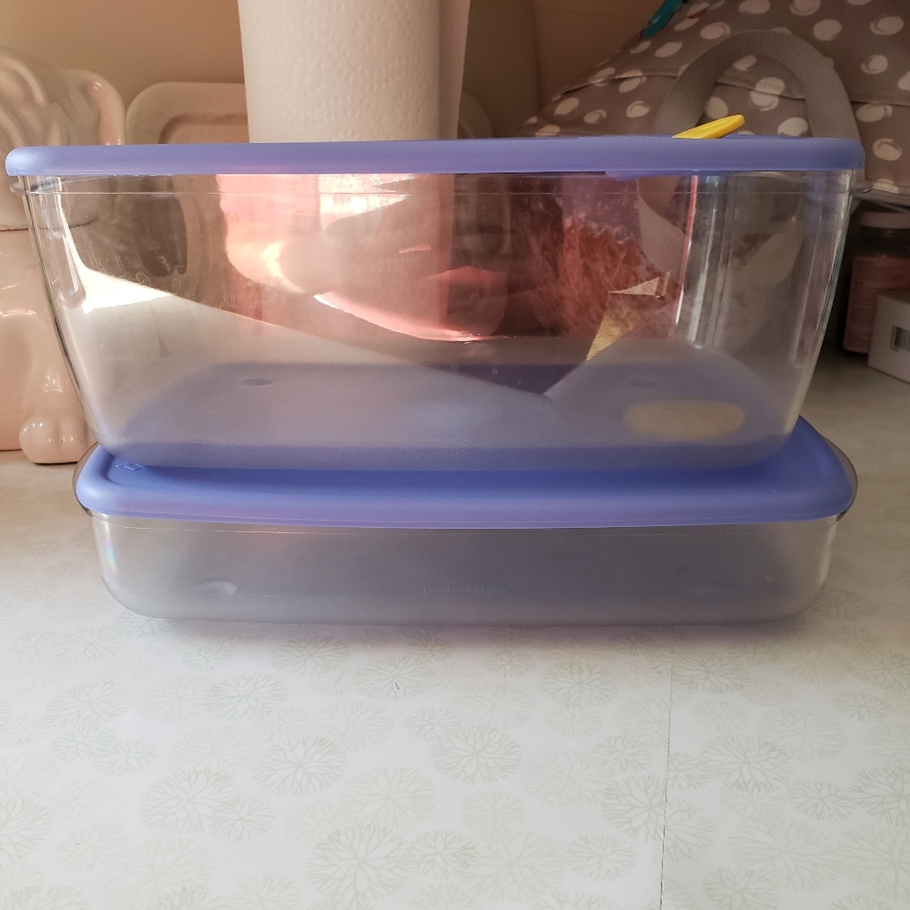 Tupperware vent n serve set